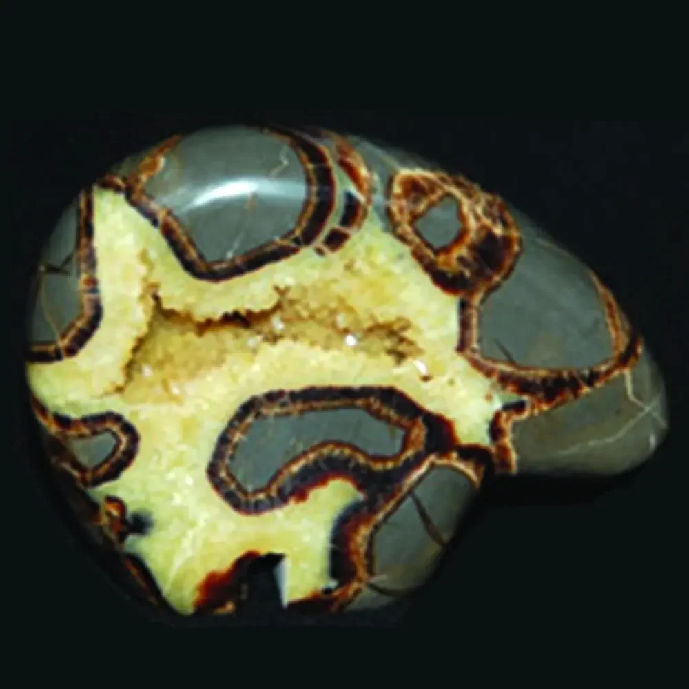 Septarian Nodule Bear Stone Carving | Carved Statue Figurine Rock Crystal